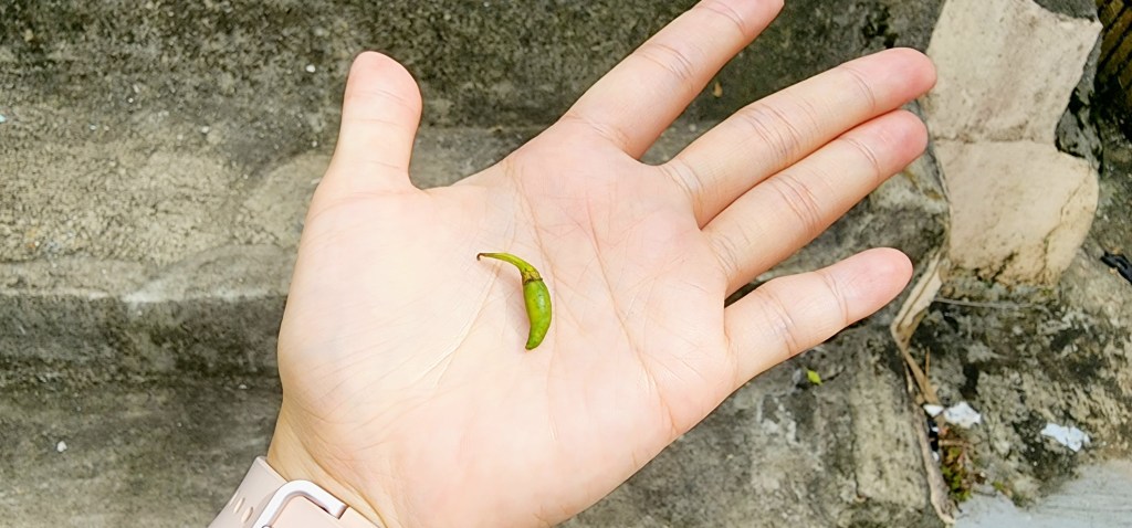 #2. Parfois, Je Peux Voir Ce Que Les Autres Ne Voient Pas. / Sometimes, I Can See What Others Can’t See.