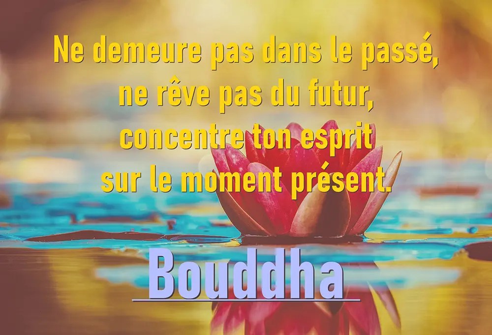 Un paysage calme évoquant la pleine conscience et la paix intérieure, en accord avec la citation de Bouddha
