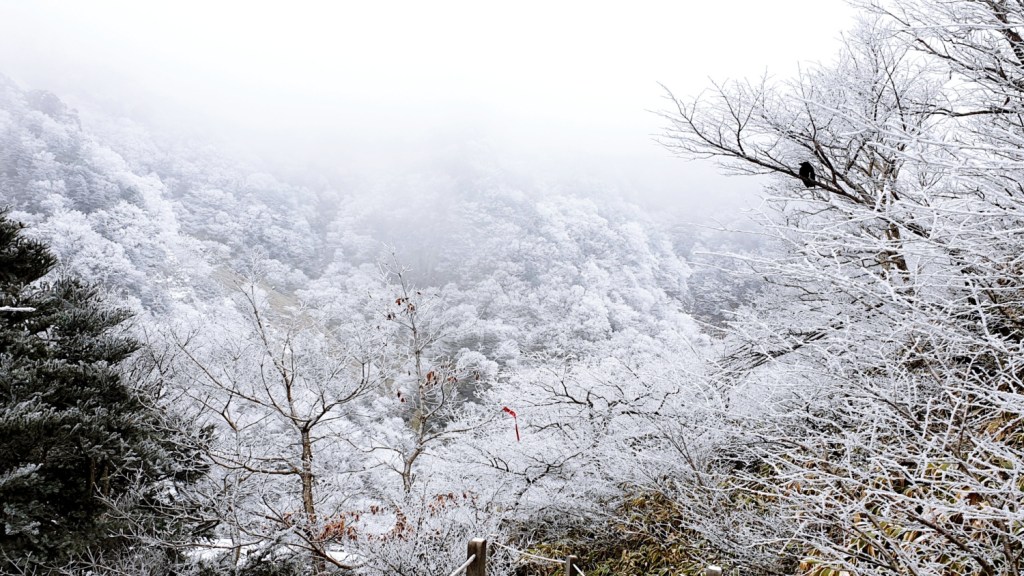 [Jeju] « Le mont Halla/Hallasan Mountain » – 한라산&nbsp;Hallasan
