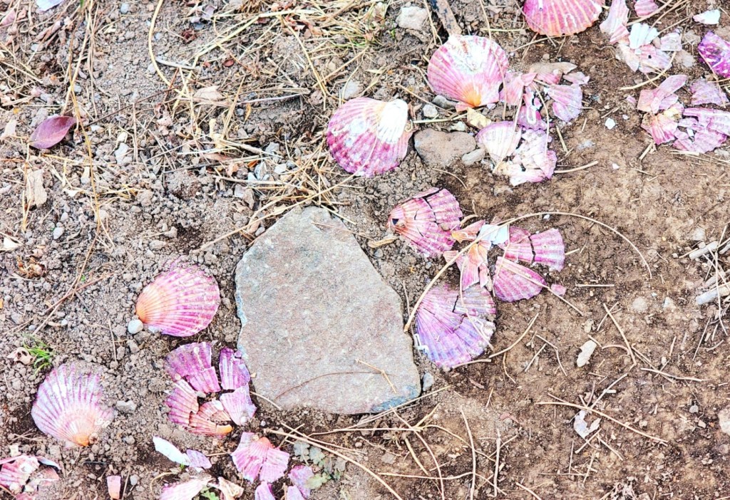 Le jour où mes oreilles sont sortis. / The day when my ears fell out. - 귀빠진 날