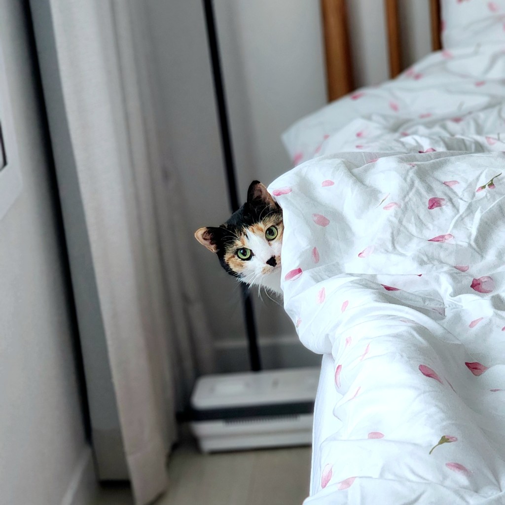 On peut être amies ? / Can we be friends? – Chez Chloé(At&nbsp;Chloé’s)