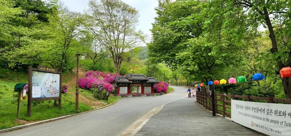 Entrance road leading to Magoksa Temple in Gongju, South Korea, lined with colorful lanterns, spring greenery, and blooming azaleas along the walkway.