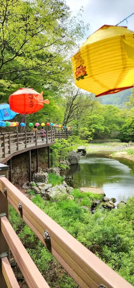 Colorful lanterns hanging above a wooden walkway along the river near Magoksa Temple in Gongju, South Korea, surrounded by lush spring greenery.