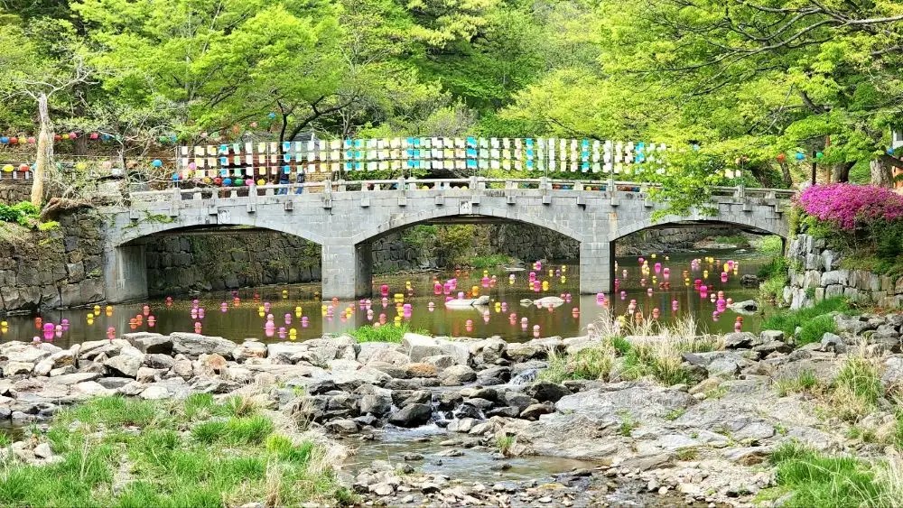 Floating pink and orange lanterns on the pond beneath the stone bridge at Magoksa Temple in Gongju, South Korea, surrounded by vibrant spring foliage.