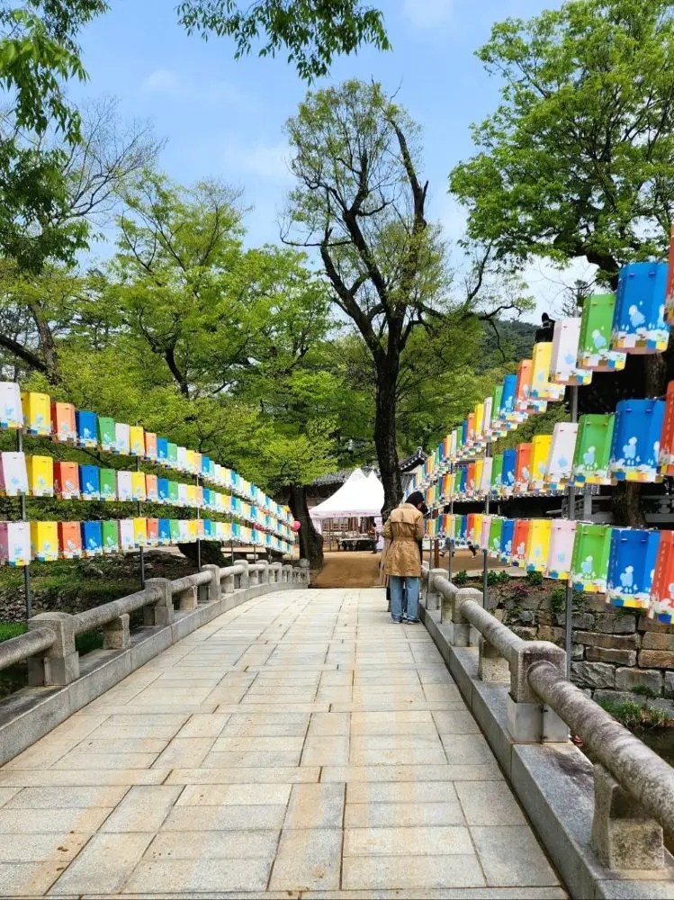 A stone bridge lined with colorful lanterns leading into Magoksa Temple in Gongju, South Korea, surrounded by spring trees and clear skies.