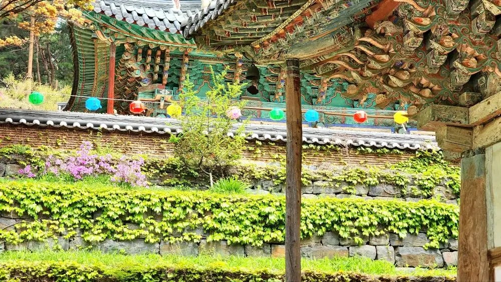 A close-up of dancheong-painted eaves at Magoksa Temple with colorful lanterns hanging beside stone terraces in Gongju, South Korea.