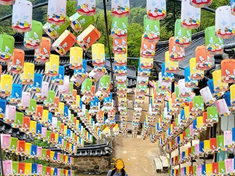[Gongju/Temple] Magoksa – Lanternes flottantes / Floating Lanterns on Water –&nbsp;마곡사