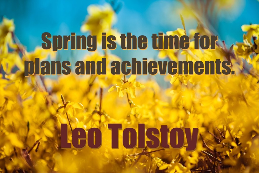Citation De Léon Tolstoï / Leo Tolstoy’s&nbsp;Quote
