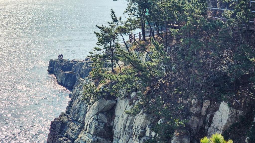 Le sentier côtier d'Igidae offre une belle promenade avec des paysages marins spectaculaires, parfait pour une journée de détente à Busan.