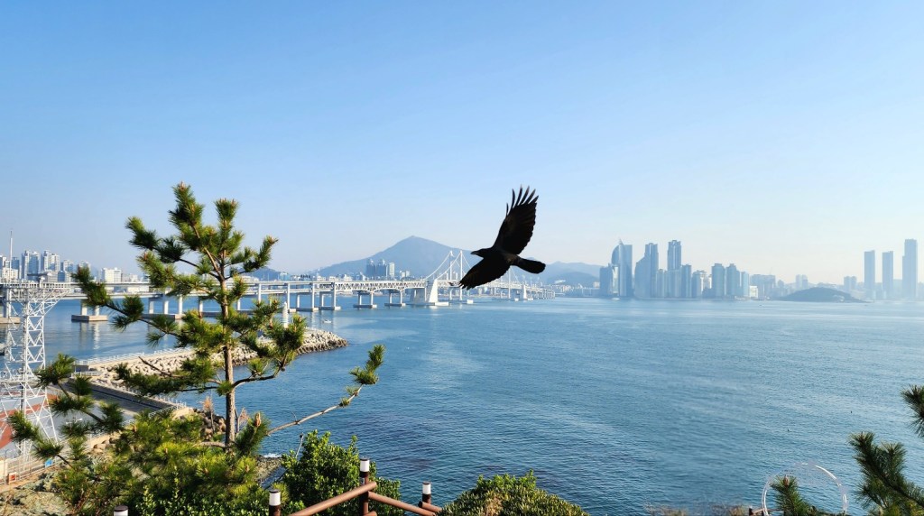 The Igidae coastal walk with breathtaking views of the sea, surrounded by hills and cliffs.