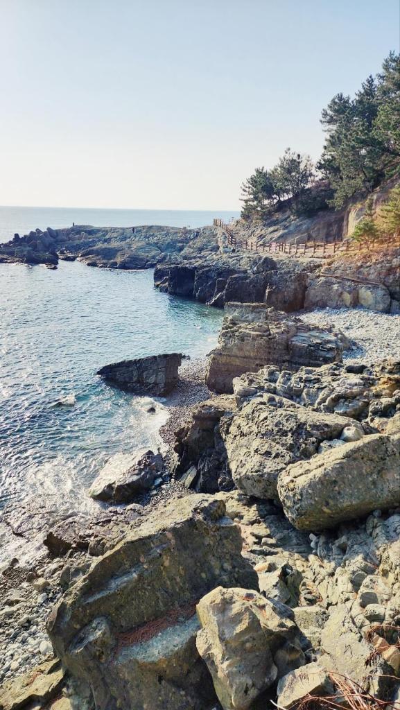 Le sentier côtier d'Igidae est une destination prisée à Busan, où les visiteurs peuvent profiter de la nature et de vues imprenables sur l'océan.