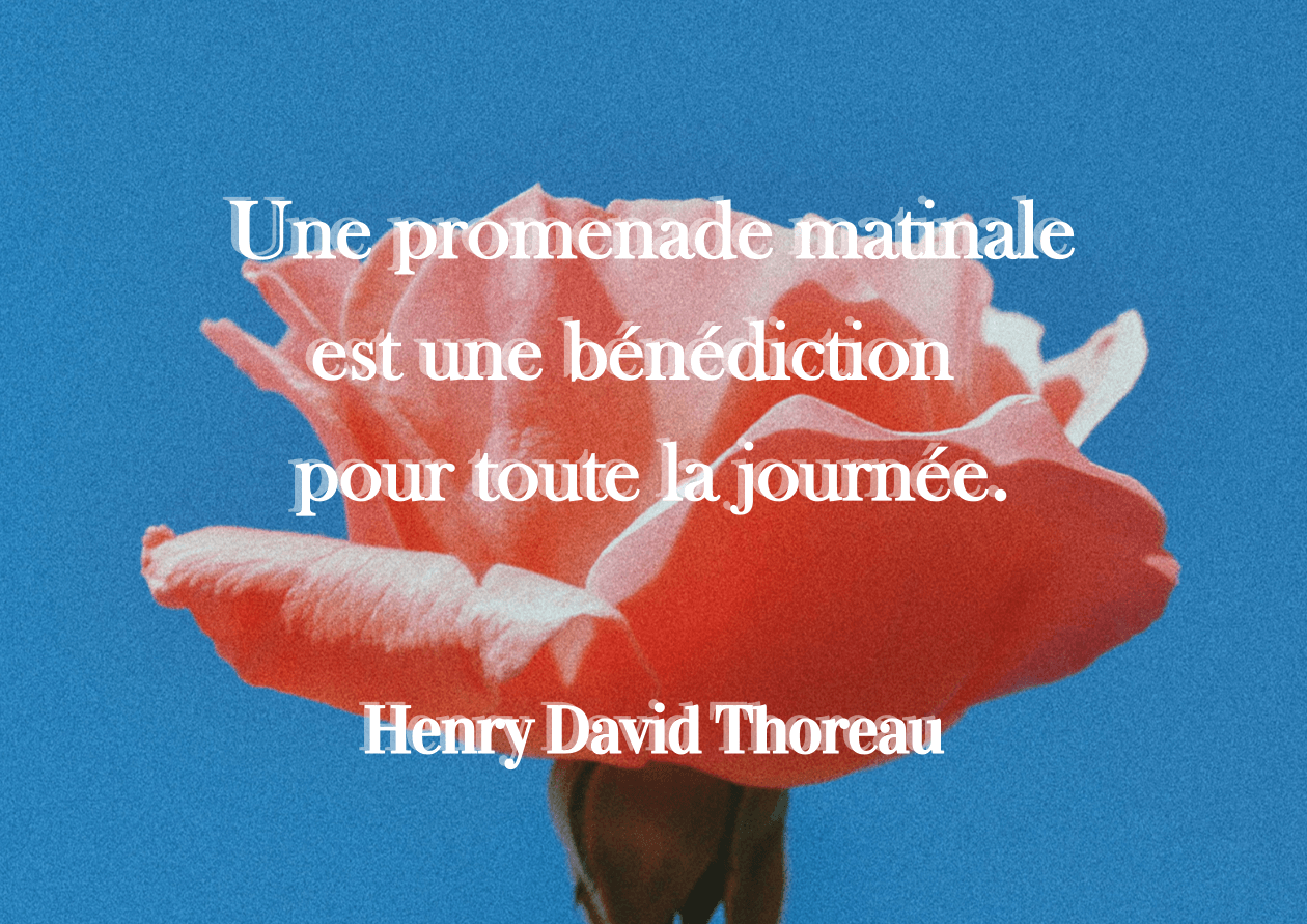 Une promenade matinale est une bénédiction pour toute la journée.