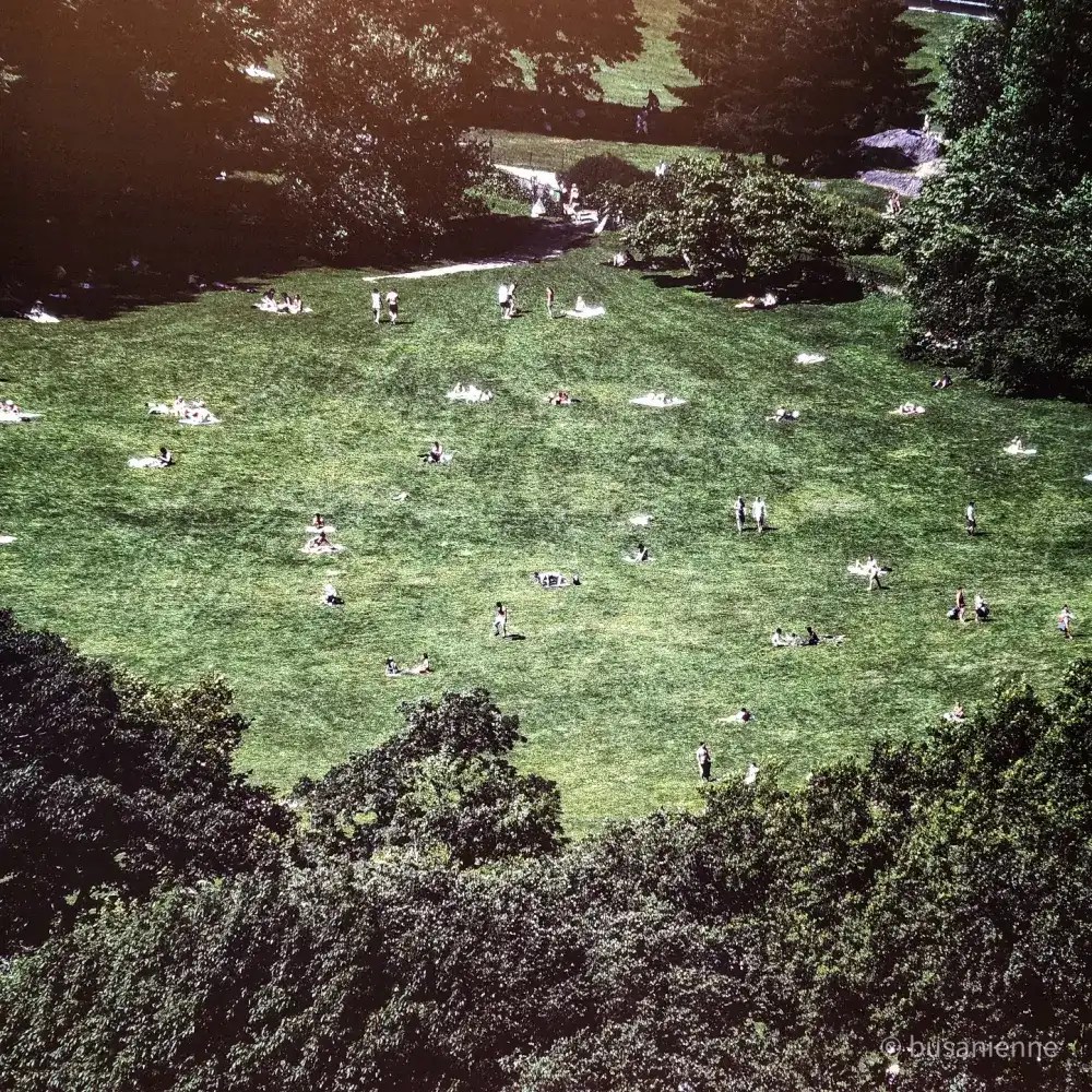 Exhibition photograph showing an aerial view of Central Park in New York. Groups of people are lying on the grass or walking across the green field under the summer sun. Captured by Korean photographer Kyungjun Lee for the One Step Away exhibition in Busan.