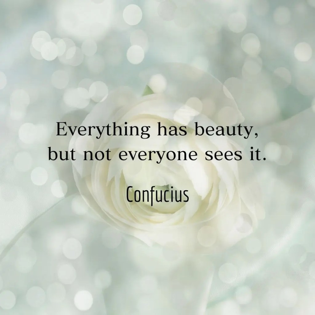 Citation de Confucius / Confucius’s Quote – Beauté /&nbsp;Beauty