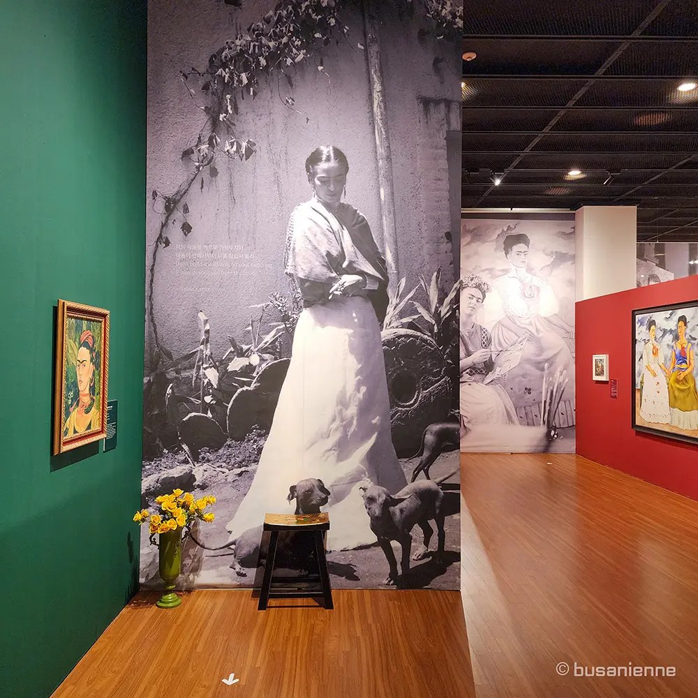 Dark green banner with the white script 'Frida Kahlo.' and pink floral decorations, serving as the main entryway graphic for the exhibition. / Bannière vert foncé avec le script blanc 'Frida Kahlo.' et des décorations florales roses, servant de graphique d'entrée principal pour l'exposition.